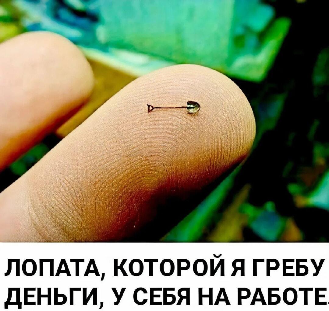 Когда твоя зарплата – с гулькин нос: лопата для денег!