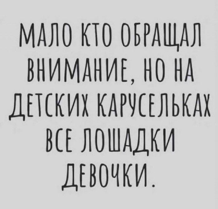 Секрет детских каруселей: Почему все лошадки — девочки?
