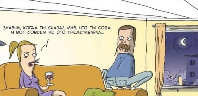 Когда он сказал, что он сова, а ты не поняла буквально