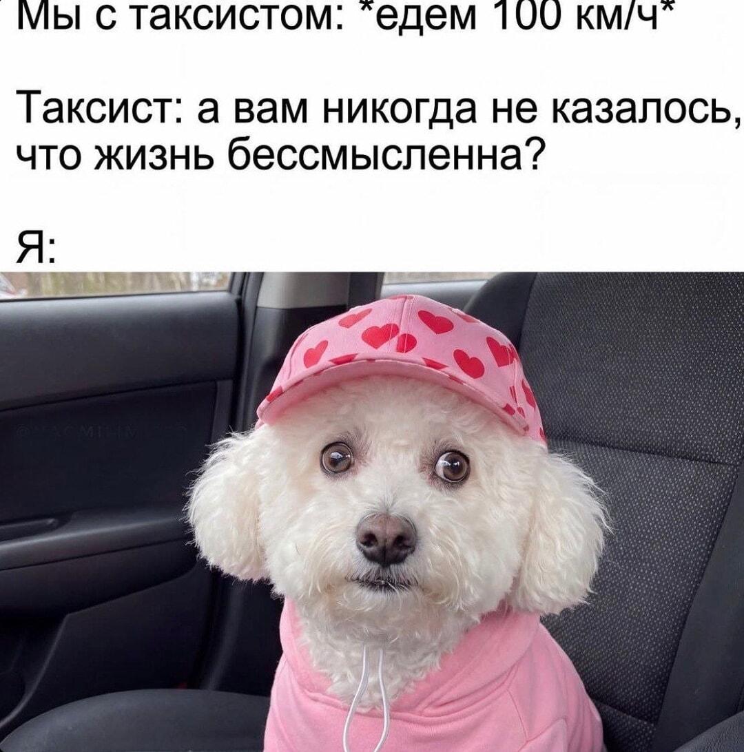 Когда таксист глубже, чем экзистенциальный кризис пассажира