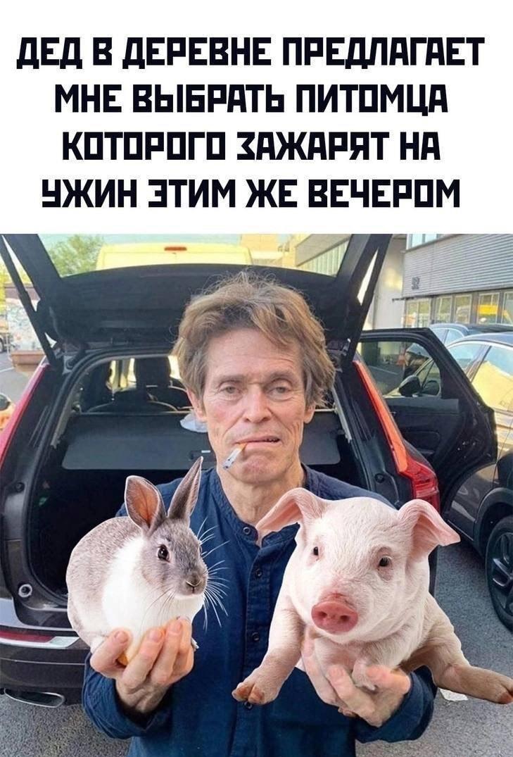 Ультиматум деда: кого зажарим сегодня вечером? Мемная дилемма!