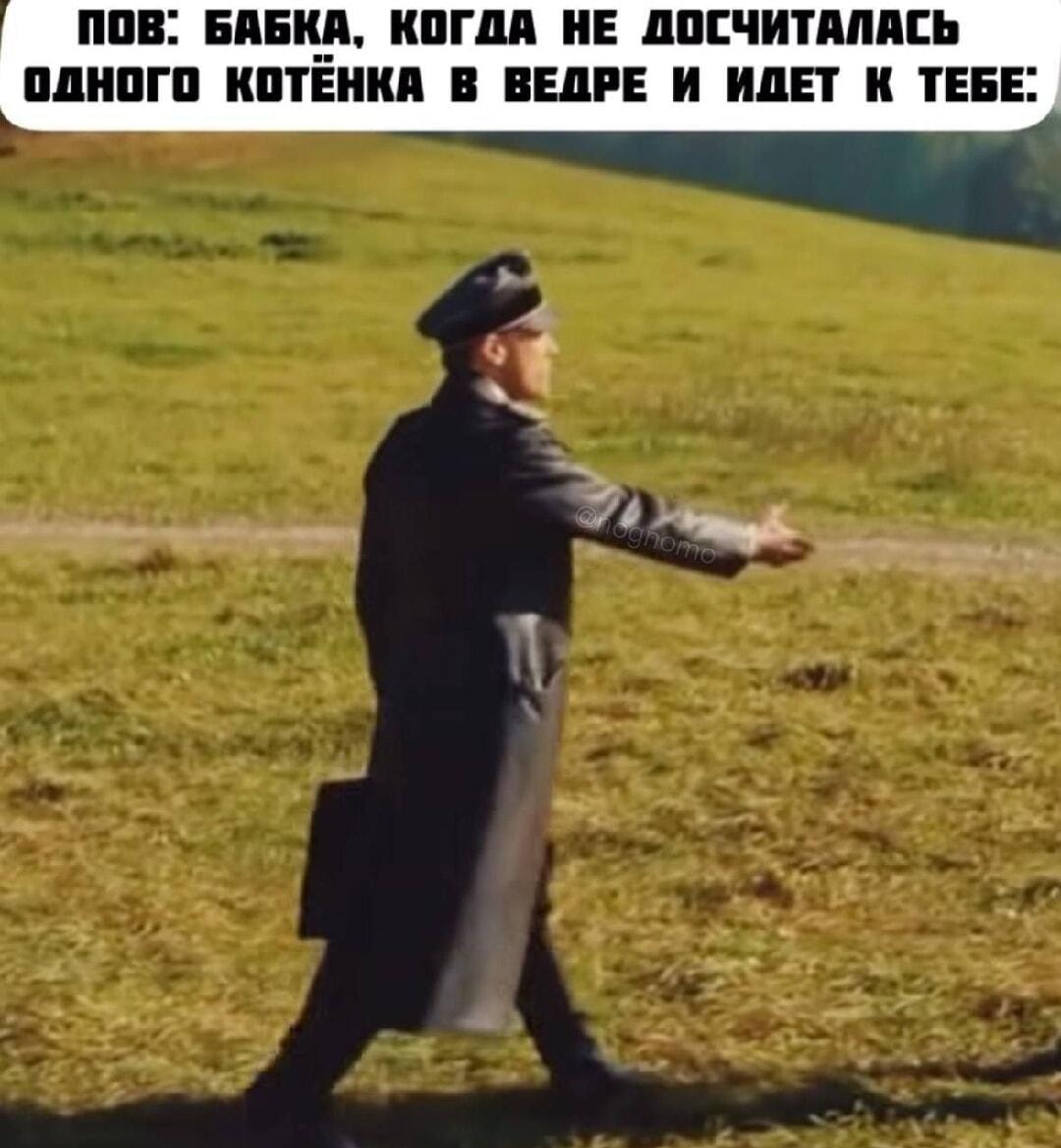 Куда делся котенок? Бабка уже идет за тобой!