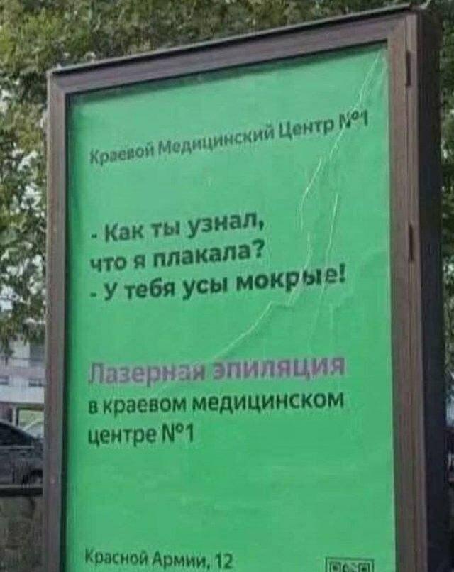 Мокрые усы выдали слезы: спасение уже рядом!