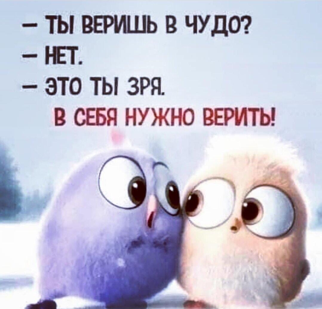 Веришь в чудо? Поверь в себя! Главный совет от милых птичек