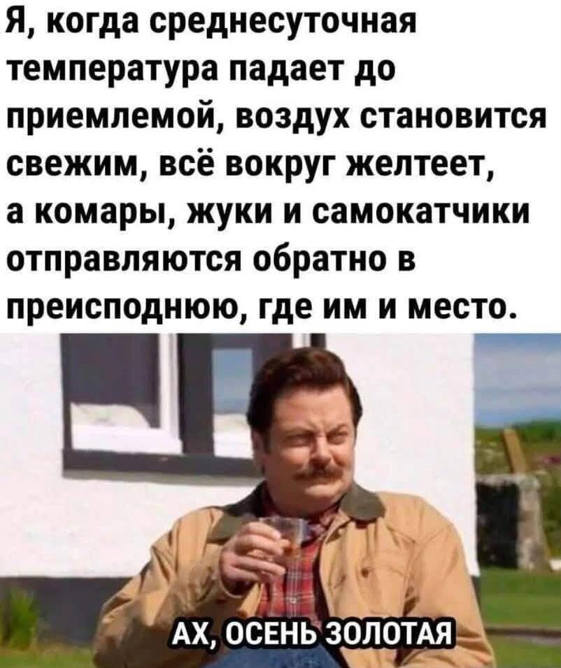 Ах, осень золотая! Когда комары и самокатчики ушли в ад