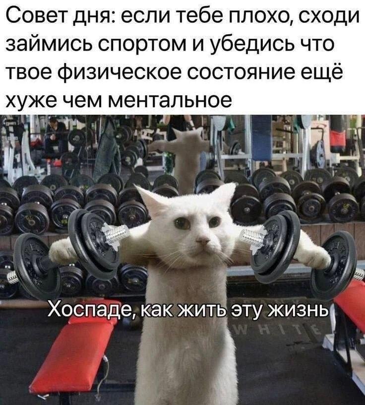 Совет дня: спорт добивает менталку, а не лечит!