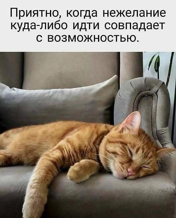 Когда нежелание куда-либо идти совпало с возможностью: идеальный день!