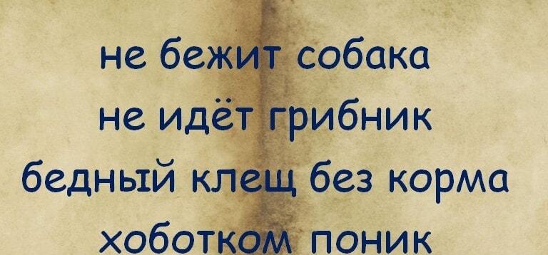 Грустный клещ: ни грибников, ни собак, а кушать хочется!