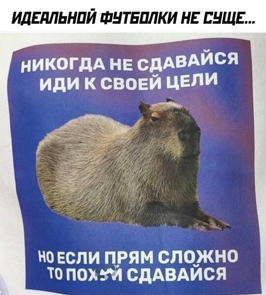 Футболка с капибарой: мем про мотивацию и здоровый пофигизм