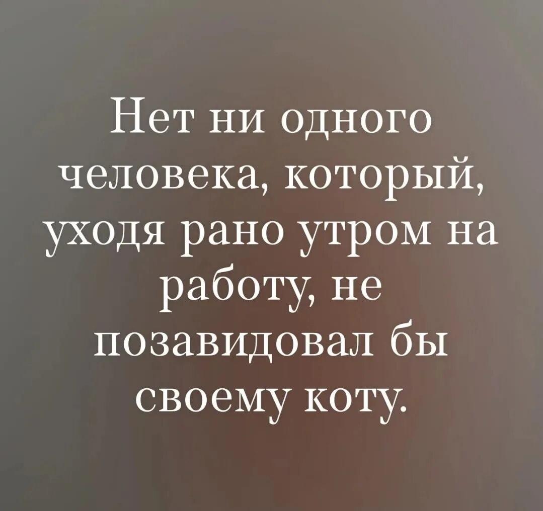 Утро понедельника: почему коту завидуешь больше, чем себе?