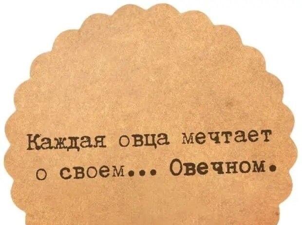 Каждая овца мечтает о своем Овечном! Глубокий мем с игрой слов