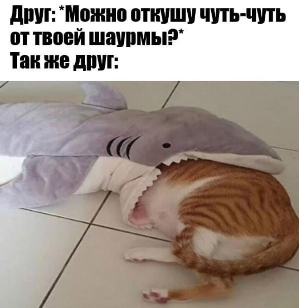 Когда друг попросил откусить шаурмы: от чуть-чуть до полного съедения!