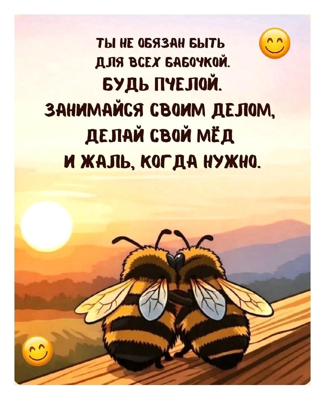 Будь пчелой: делай свой мёд и жаль, когда нужно!