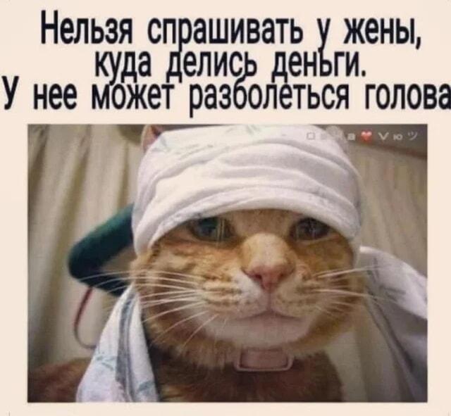 Куда делись деньги? Жена ответит: голова болит!