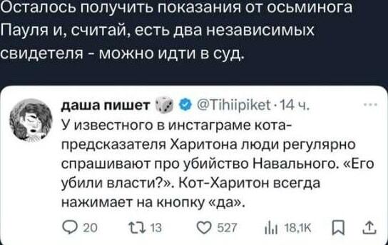Кот Харитон и осьминог Пауль: новые свидетели по делу Навального
