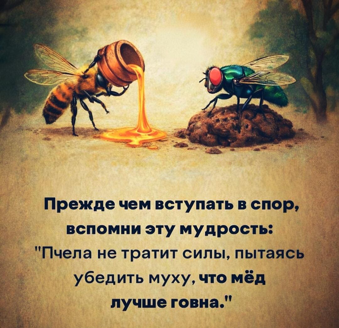 Мудрость пчелы: кому не стоит ничего доказывать в споре