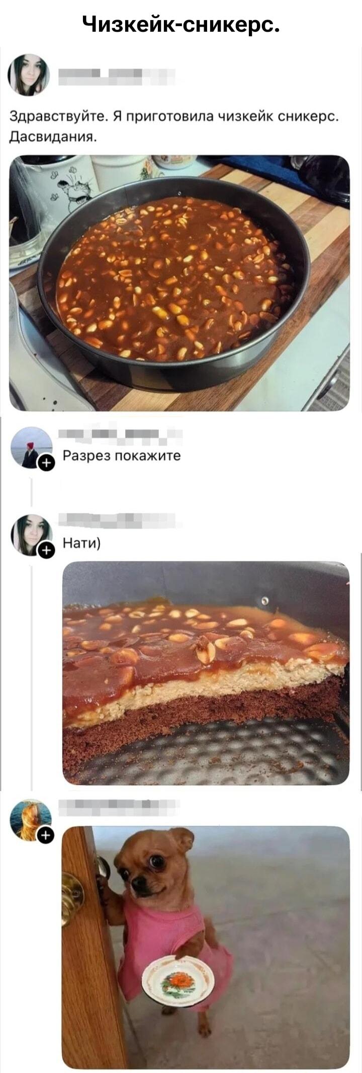 Чизкейк-сникерс Нати: когда даже пес не понял прикола