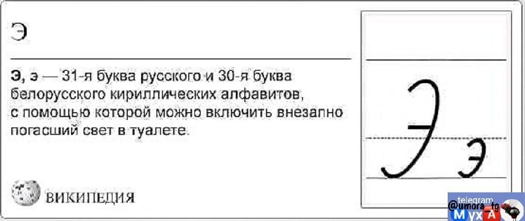 Буква Э: секретный лайфхак по включению света в туалете!