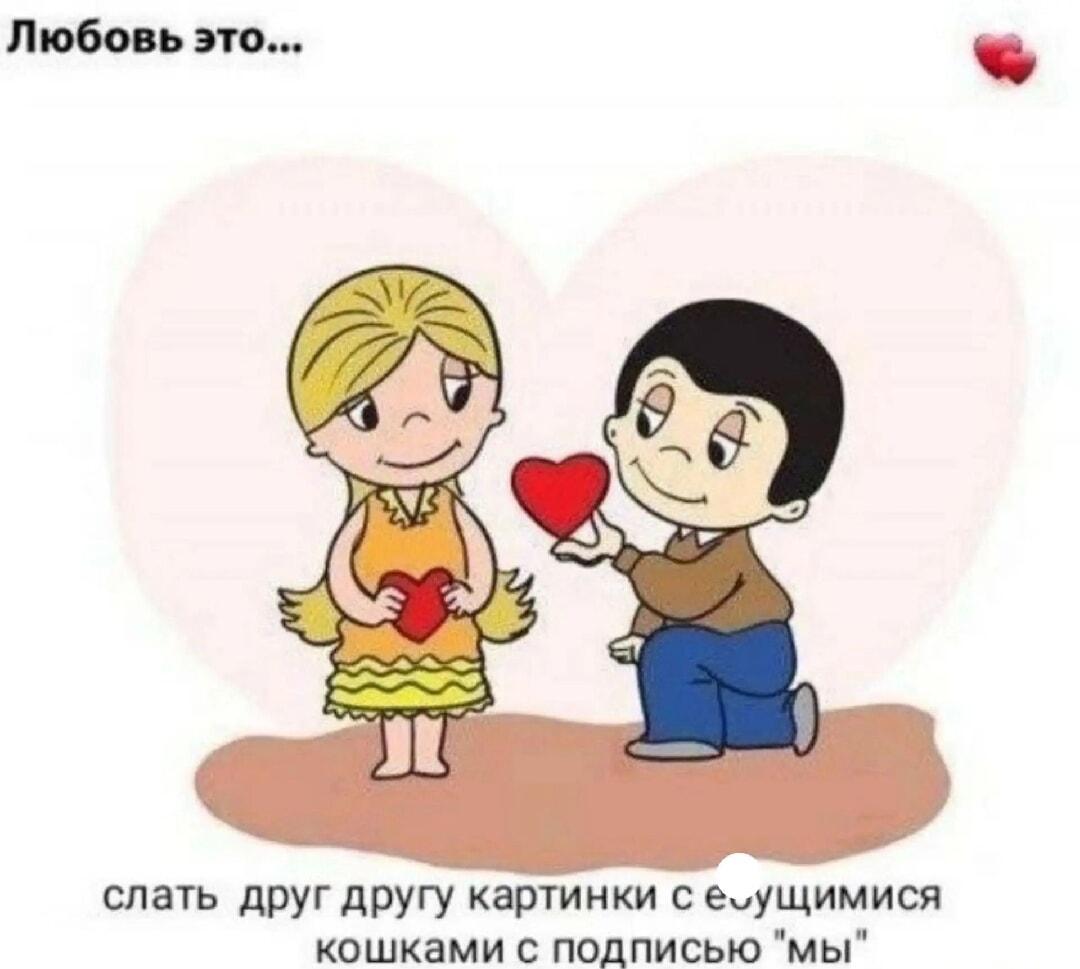 Любовь это: мемы с котиками и подпись «мы» – новая классика!