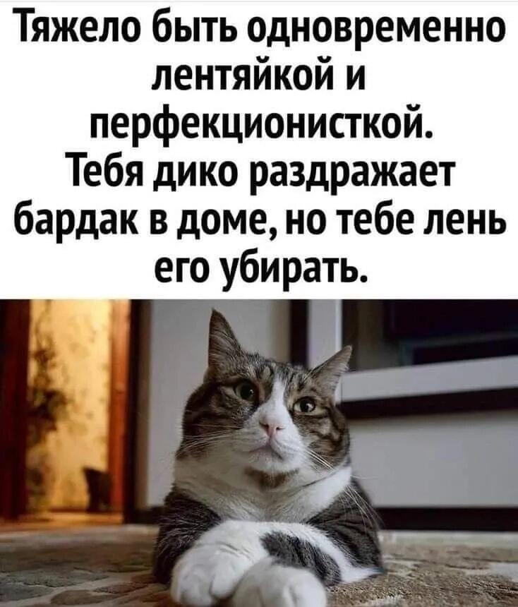 Лень и перфекционизм: вечная битва внутри каждого из нас!