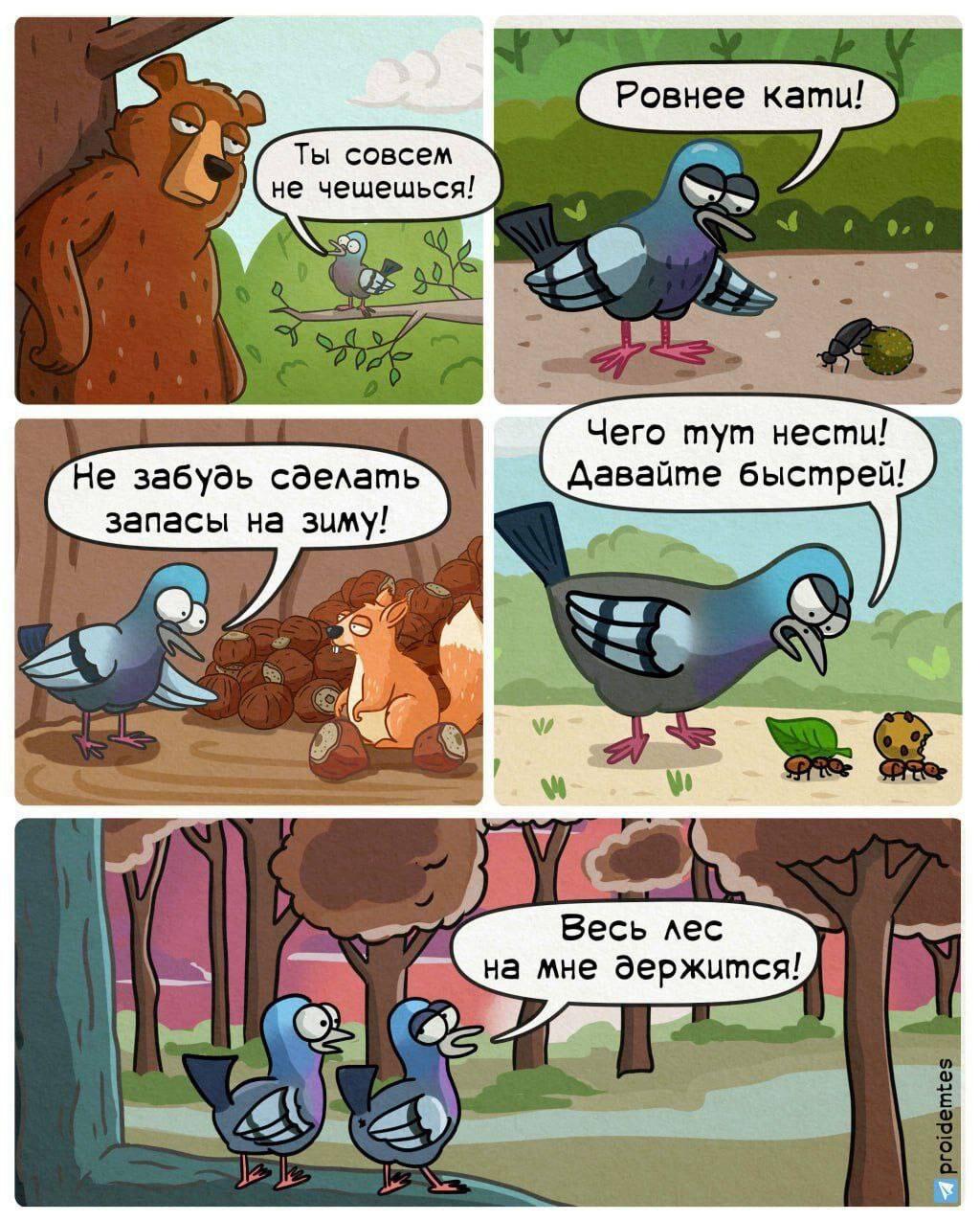 Голубь-босс: весь лес на мне держится, а вы ленитесь!