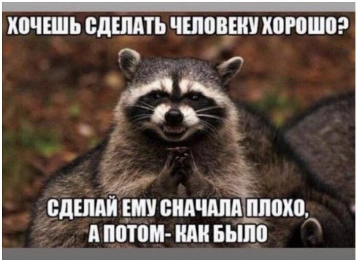 Енот-психолог: как осчастливить человека? Гениальный лайфхак!