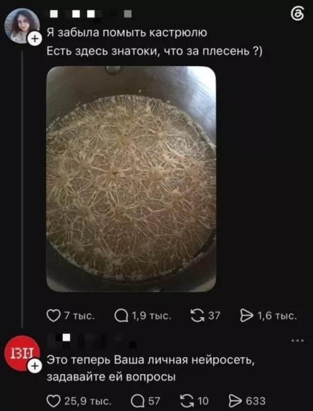 Забыла помыть кастрюлю: выросла нейросеть, задавайте вопросы!