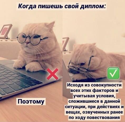 Диплом по-русски: как налить воды, чтобы сдать работу
