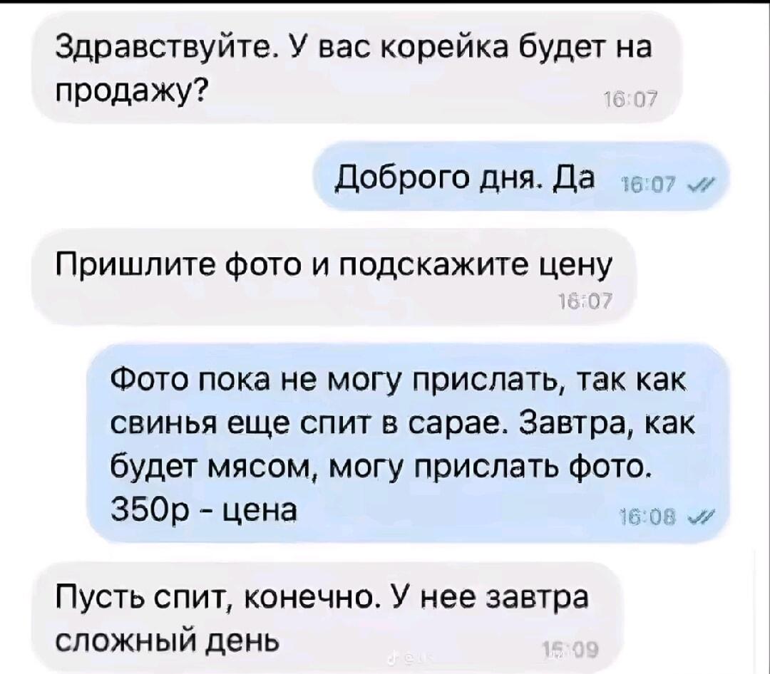 Завтра будет мясо: у свиньи сложный день!