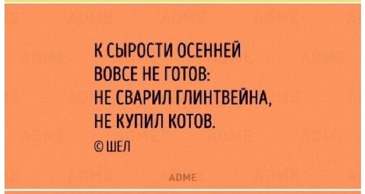 Осень близко: не готов к сырости без котов и глинтвейна!