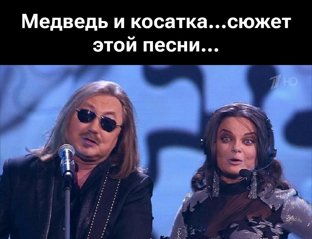 Медведь и косатка: когда сюжет песни вводит в ступор!
