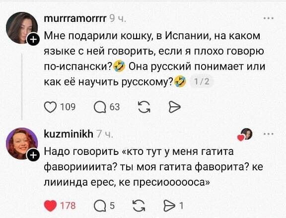 Как общаться с испанской кошкой? Языковой барьер с питомцем!
