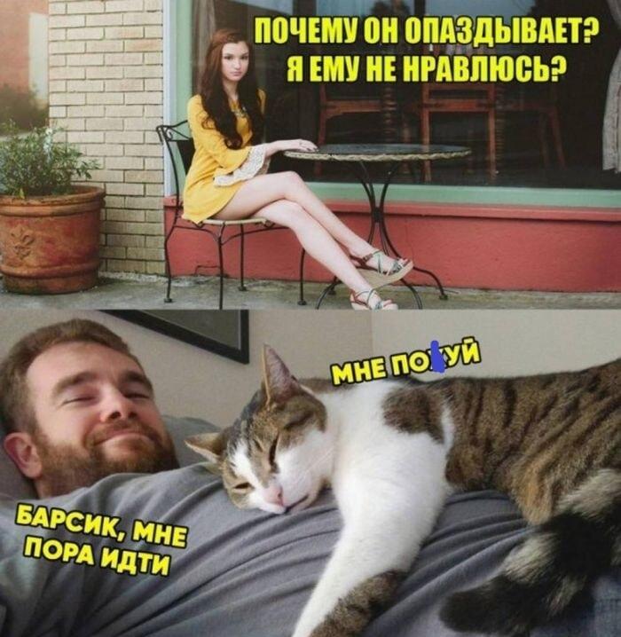 Девушка ждет, а кот Барсик решает: приоритеты расставлены!
