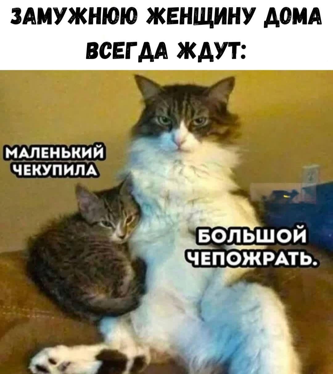 Маленький чекупила и большой чепожрать: жизненный мем