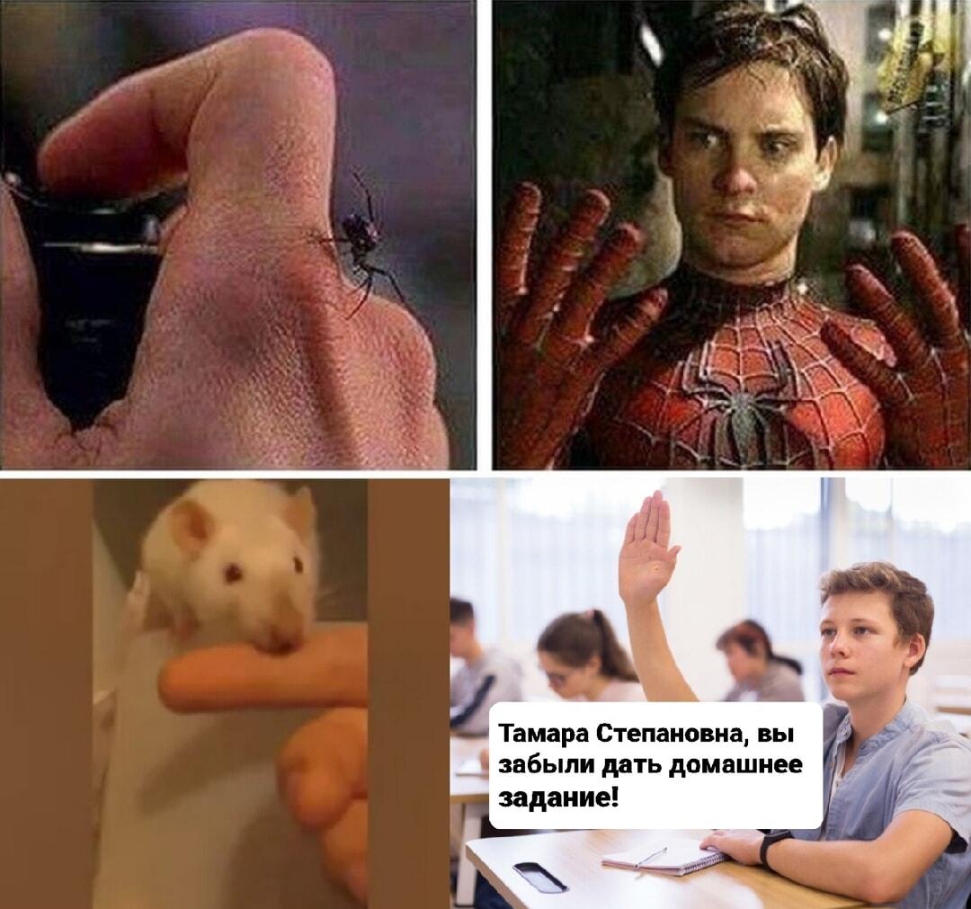 Укус паука? Нет, это сила напомнить о домашке!