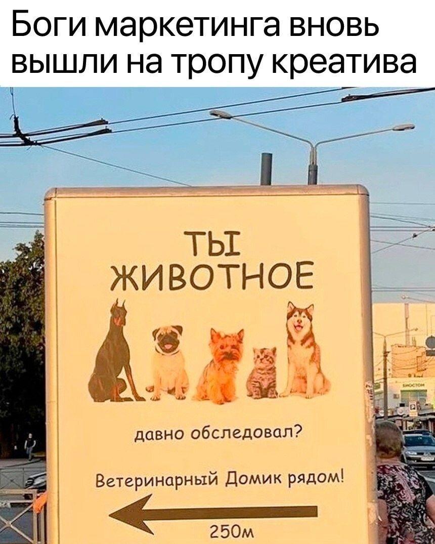 Самый дерзкий маркетинг для ветеринарной клиники: «Ты животное?»