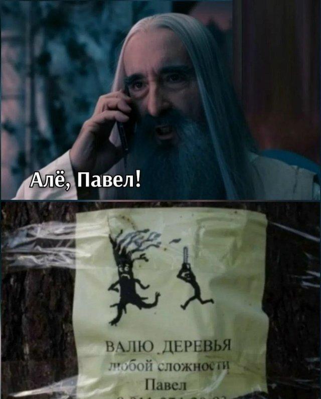 Саруман звонит Павлу: деревья сами себя не свалят!