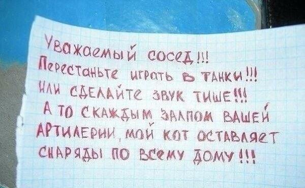 Сосед играет в танки: кот устраивает 