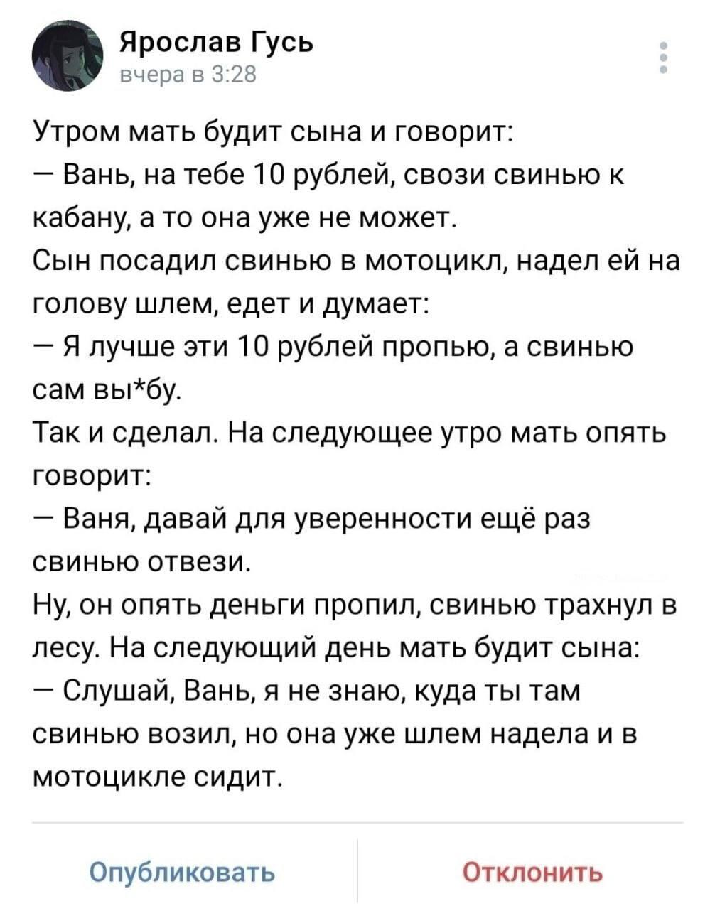 Свинья сама надела шлем: Ваня, ты что натворил?