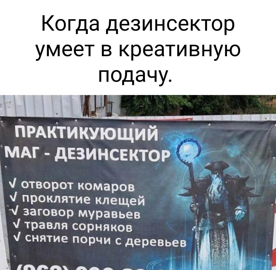 Практикующий маг-дезинсектор: когда вредители боятся магии!