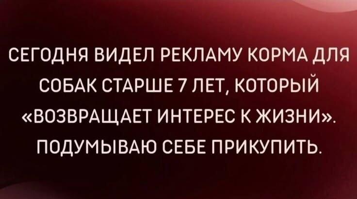 Корм для собак от скуки: когда человеческая жизнь не радует