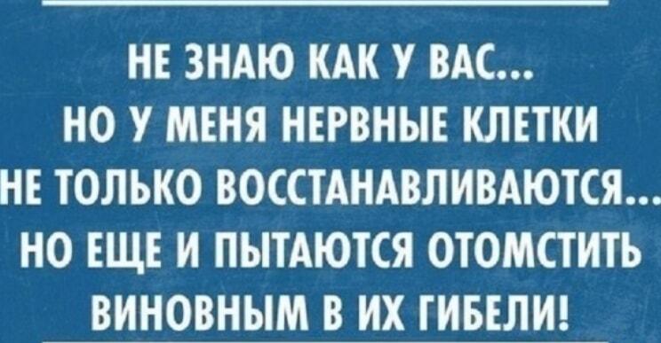 Нервные клетки не просто восстановились, они жаждут мести!