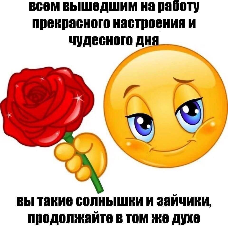 Держитесь, работяги! Или как начать день с позитива?