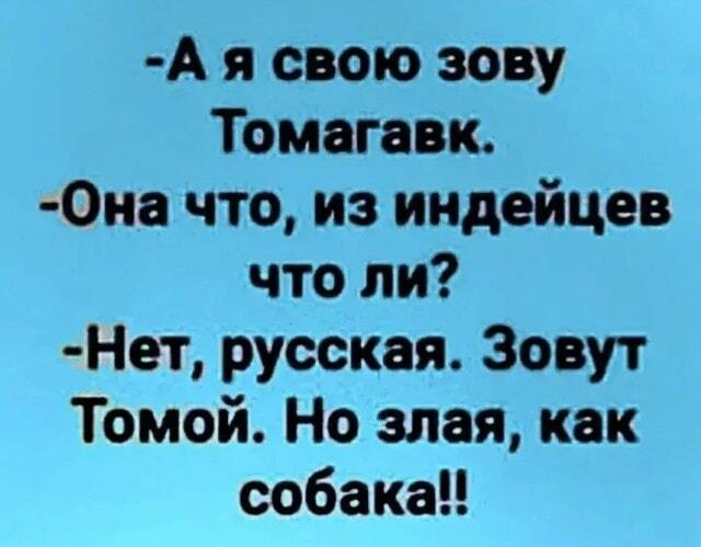 Тома-гавк: когда русская жена злая, как собака!
