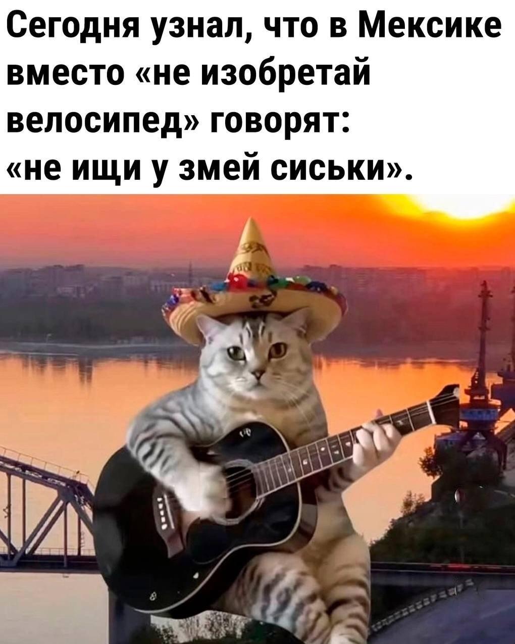 Мексиканская мудрость: не ищи у змей сиськи! Наш мем дня