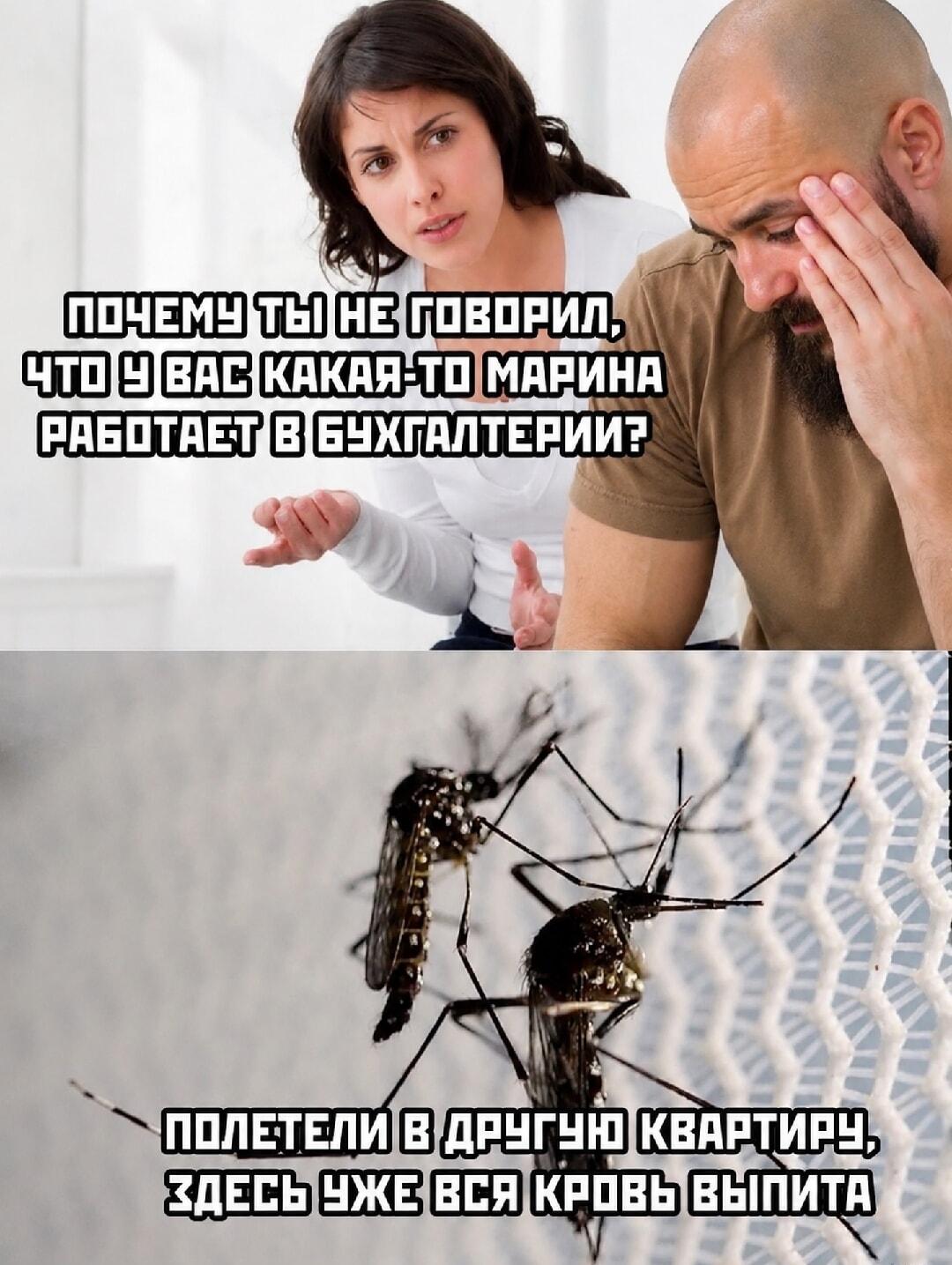 Жена узнала про Марину из бухгалтерии: вся кровь выпита!