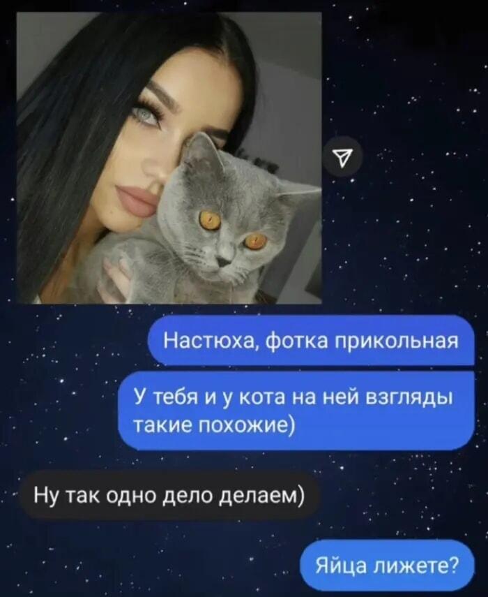 Что общего у девушки и ее кота? Неожиданный поворот!