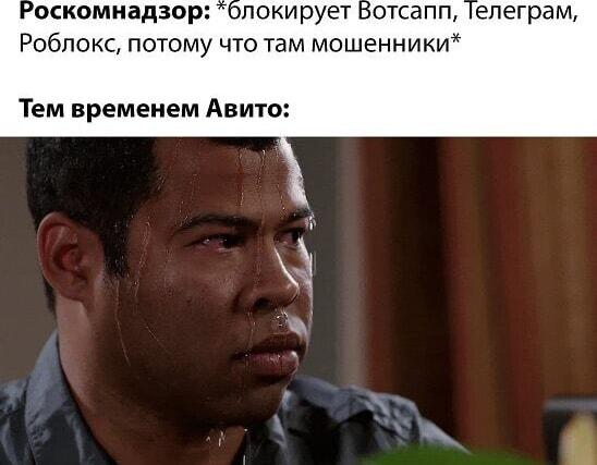 Роскомнадзор против мошенников: Авито потеет от страха?
