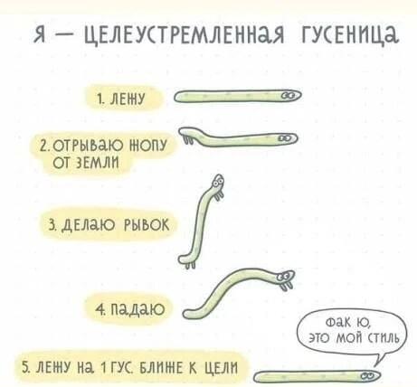 Целеустремленная гусеница: фак ю, это мой стиль!