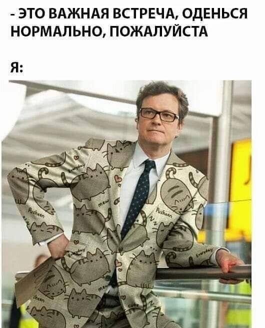 Важная встреча? Я уже в своем лучшем костюме с Пушином!